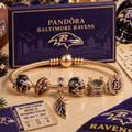 CCBG Gold Charm Bracelet Set NHVH