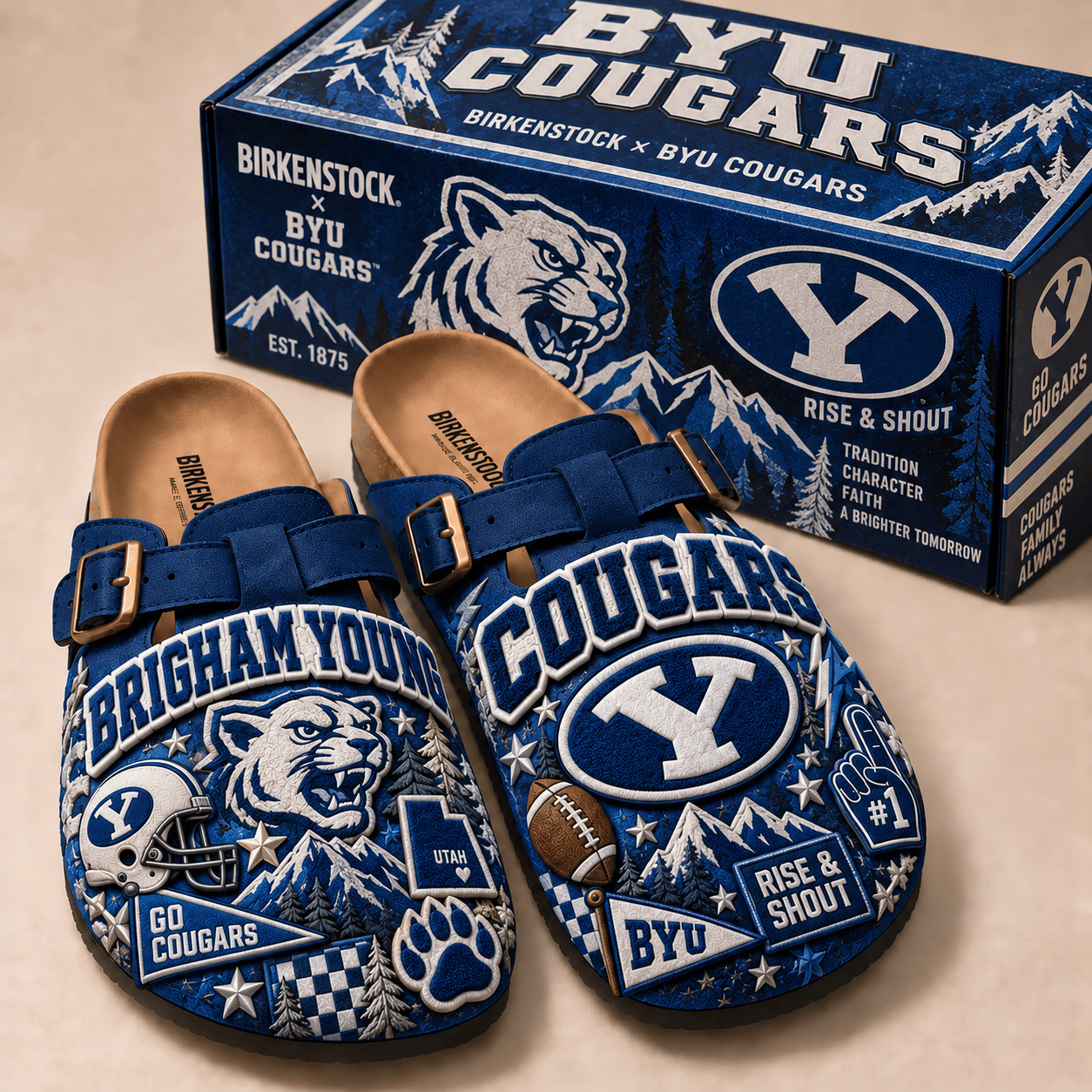 PREMIUM BYU MINK SUEDE CLOGS TTNL